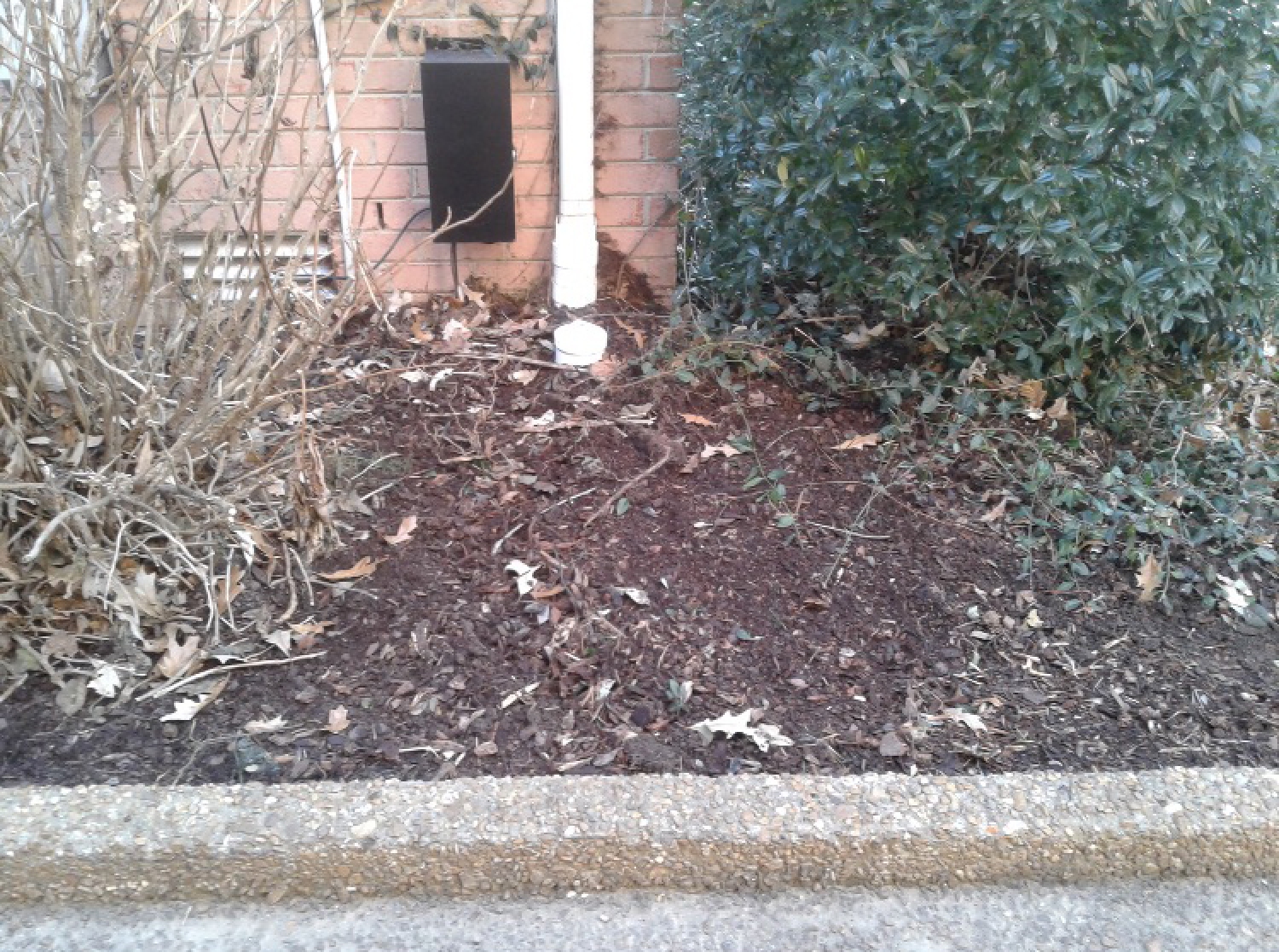 Nashville Downspout Dude Bubble Pots 20