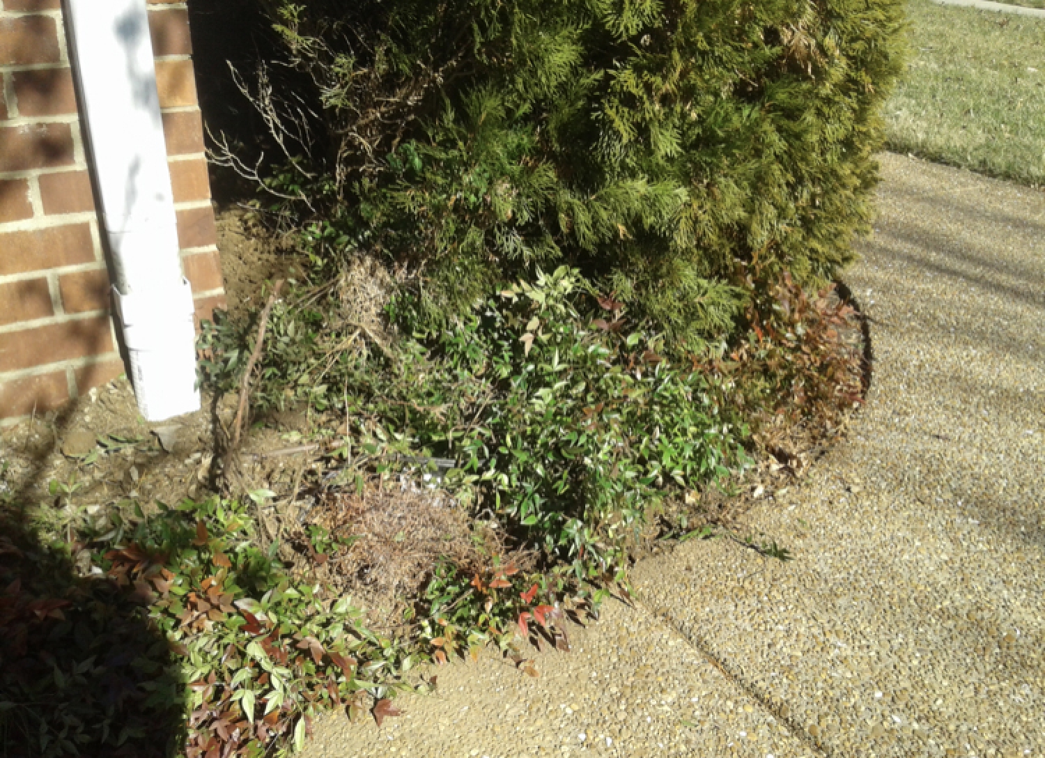 Nashville Downspout Dude Bubble Pots 38